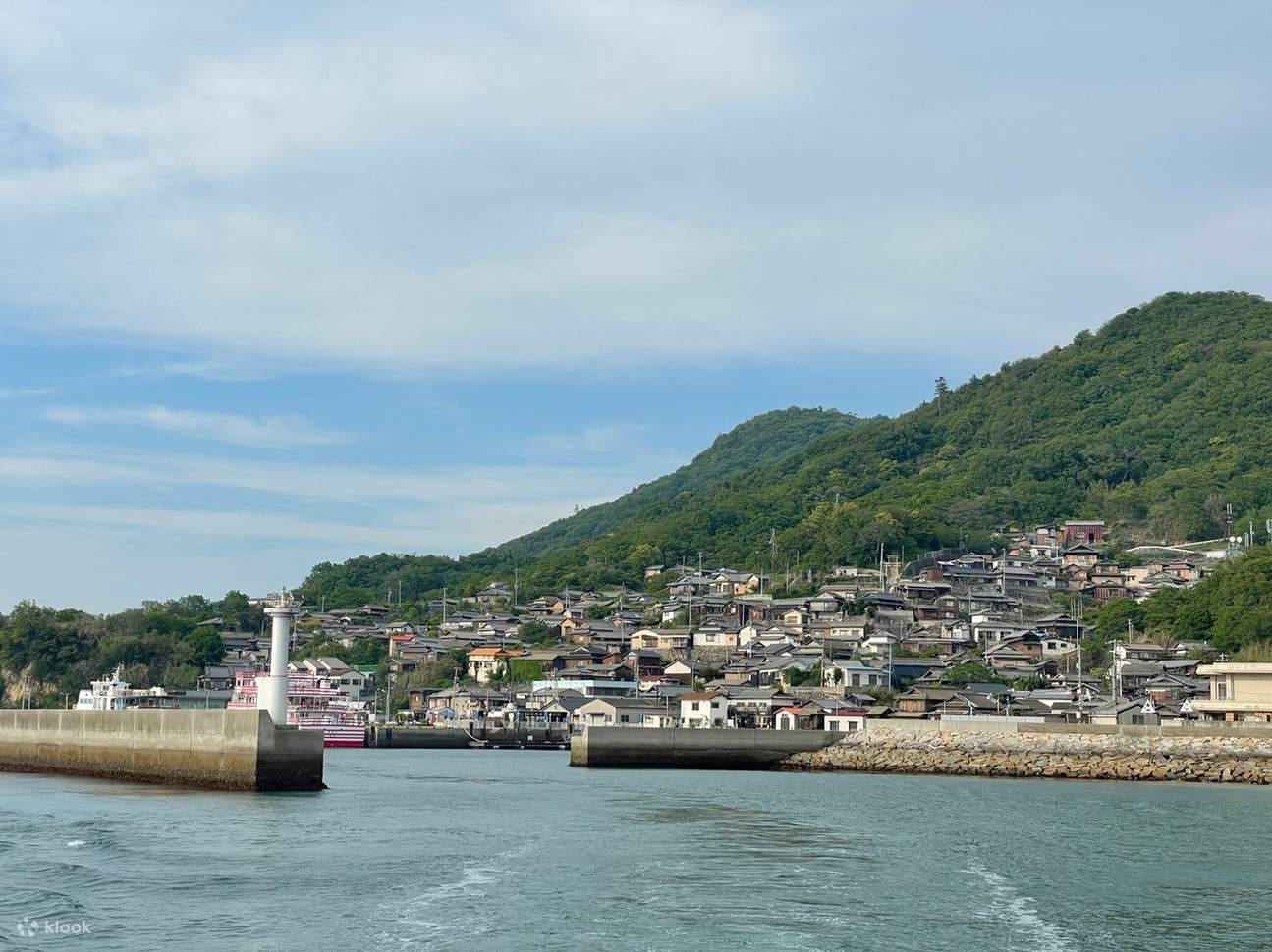 重返鸟白岛